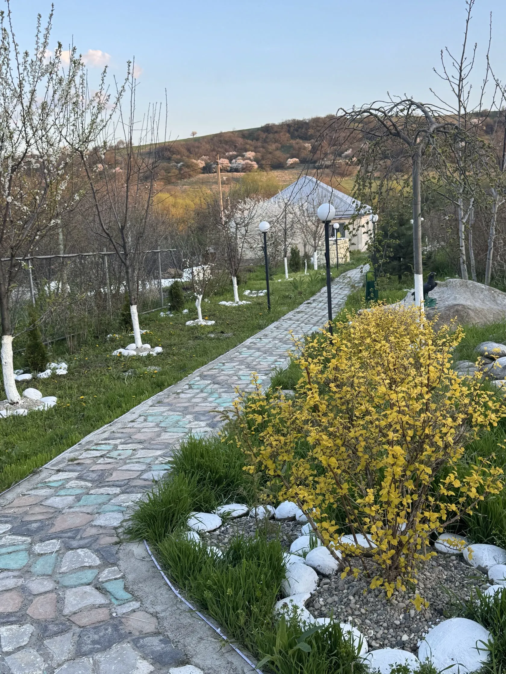 Дорожка в парке виллы
